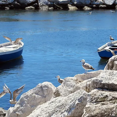 米莱里宫住宿加早餐旅馆 住宿加早餐酒店